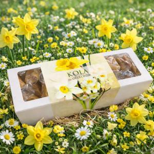 Citronkolor i påskask - Sköna Ting